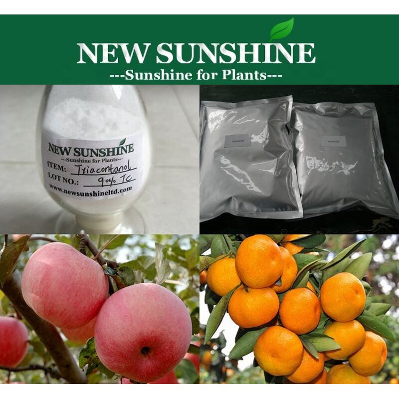 Triacontanol Powder Manufacturer - Natural PGR with High Purity