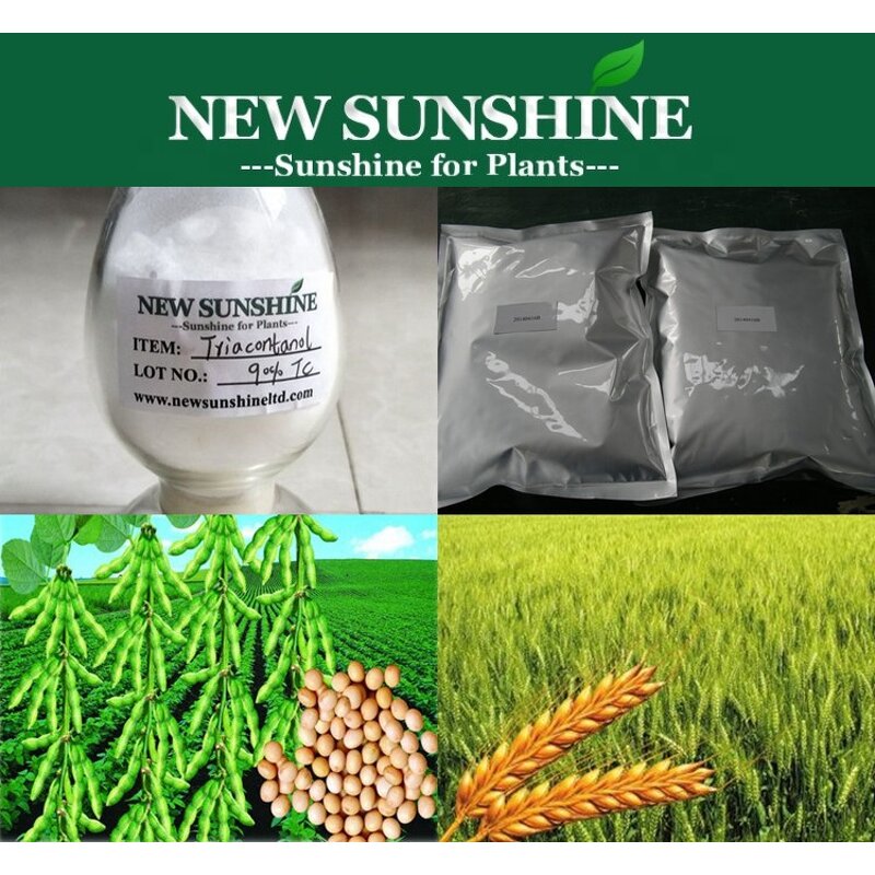 Triacontanol Powder Manufacturer - Natural PGR with High Purity