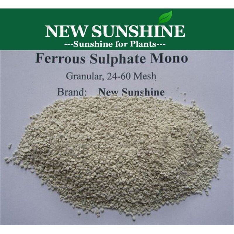Ferrous Sulphate Fertilizer Manufacturer - Mono/Hepta Water Soluble Iron Price