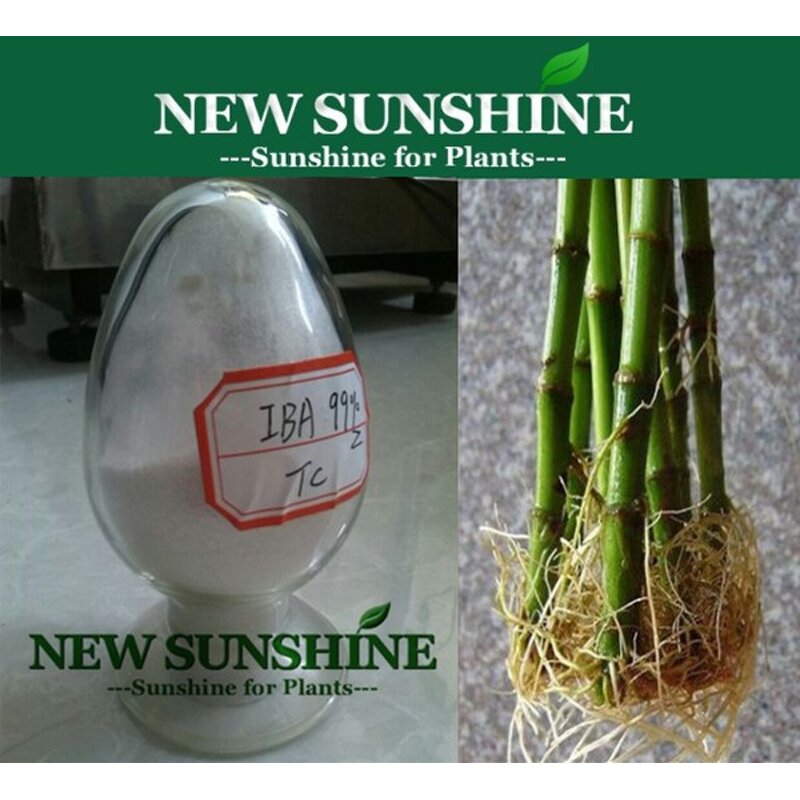 IBA Manufacturer - Indole 3 Butyric Acid 99% TC Price