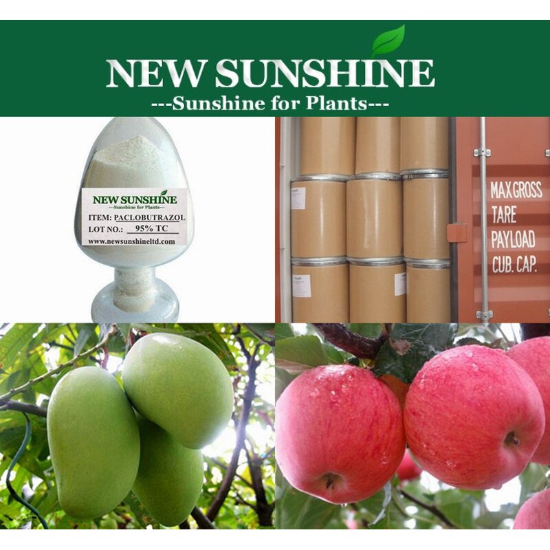 Paclobutrazol Manufacturer - Plant Hormone CAS 76738-62-0