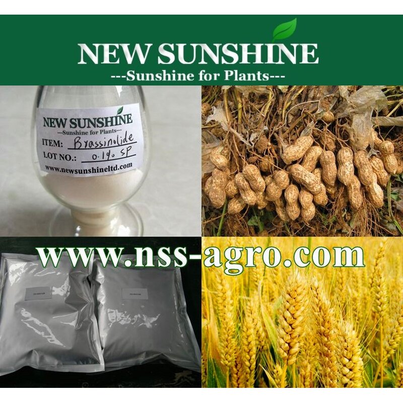 Brassinolide Manufacturer - Natural 90% TC & Mixed Epibrassinolide