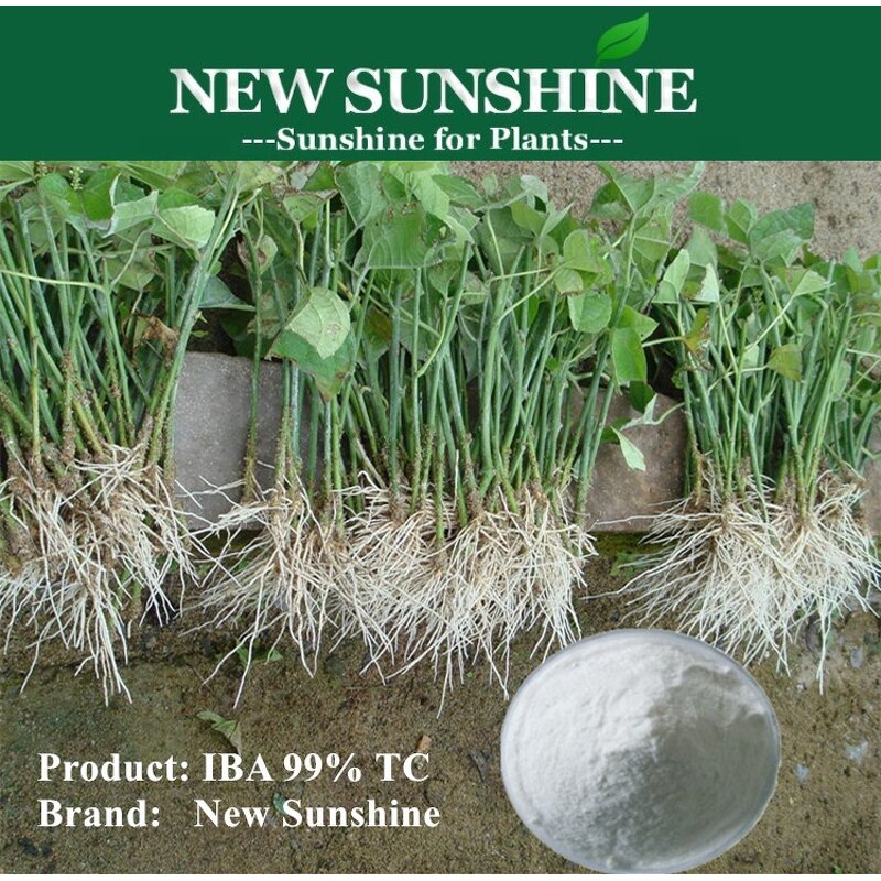 IBA Manufacturer - Indole 3 Butyric Acid 99% TC Price