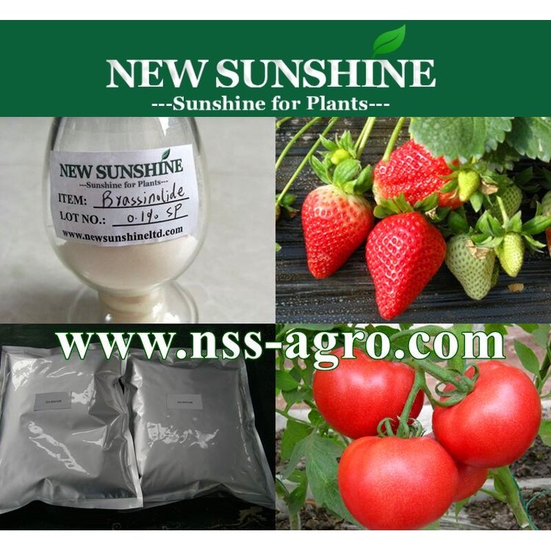 Brassinolide Manufacturer - Natural 90% TC & Mixed Epibrassinolide