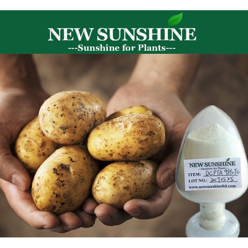 Plant Hormone Manufacturer - 98% TC DCPTA High Effect