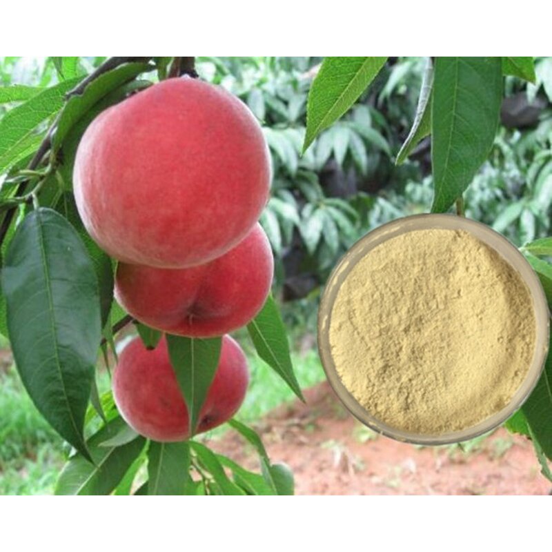 Chelated Magnesium Fertilizer Manufacturer - EDTA-Mg 6%