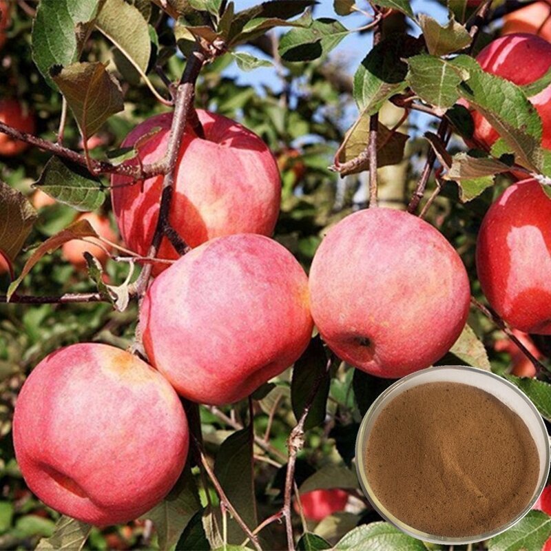 Amino Acid Chelated Iron Powder Manufacturer