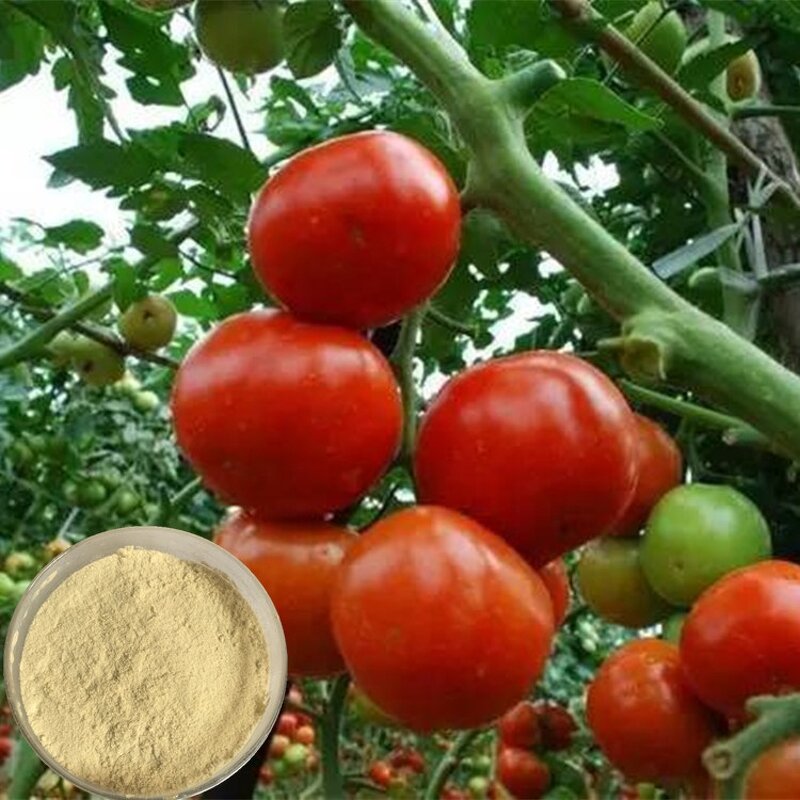 Amino Acid Chelate Powder Manufacturer