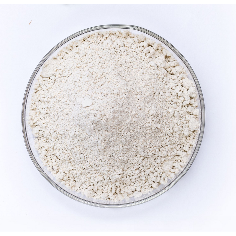 Chitosan Powder Manufacturer - Agricultural Grade Price