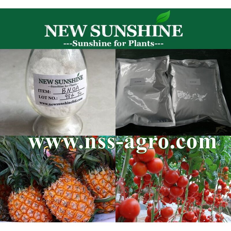 Plant Hormone Manufacturer - 98% TC 2-Naphthoxyacetic Acid BNOA