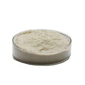 Amino Acid Powder Manufacturer - 80% Water Soluble Soybean Meal for Fermentation