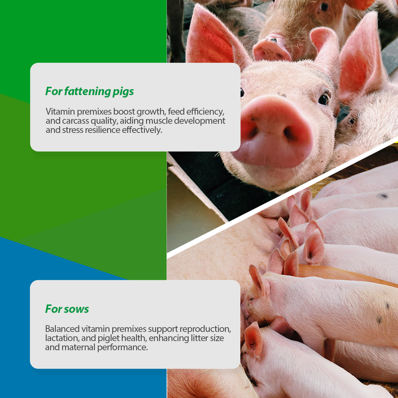Multivitamin Blend - Feed Grade Fattening Pig Sow Nutrition Supplement