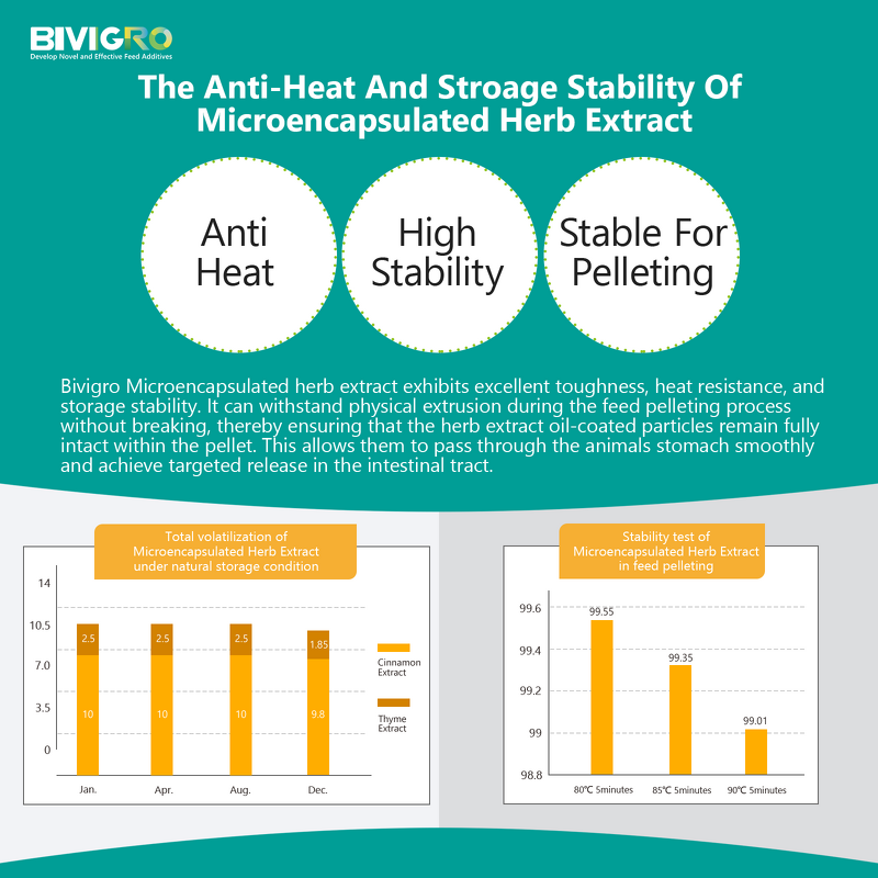 Microcapsulated Cinnamon Extract - Feed Grade Cinnamaldehyde Enteric Coated Animal Performance