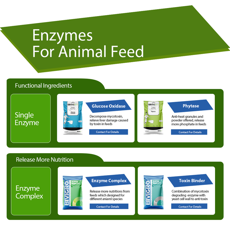 Glucose Oxidase Enzyme - Feed Grade Aflatoxin Degrading Mycotoxin Biodegradation