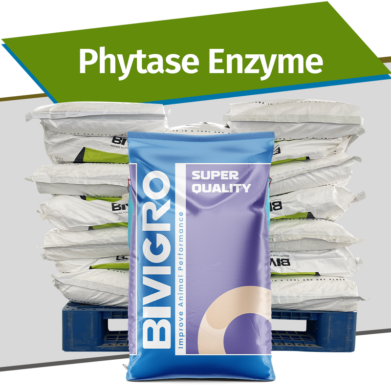 Phytase Feed Enzyme - Powder Granule Anti Heat Resistance Competitive Price