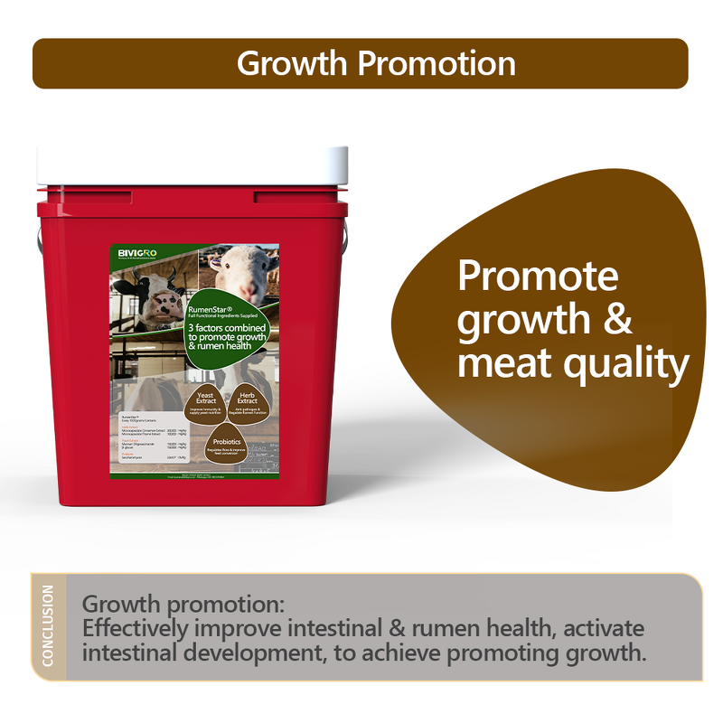 Rumenstar Regulator - Microencapsulated Herb Yeast Probiotic Cattle Sheep Growth