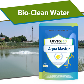 Aqua Bacillus Subtilis Probiotic - Shrimp Fish Biofloc Farming Pond Water Treatment