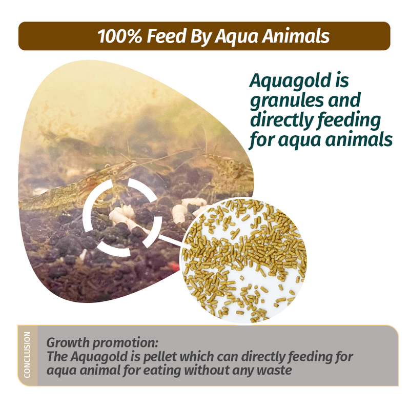 Amino Acid Chelated Minerals - Granular Shrimp Organic Nutrition Growth Promotion