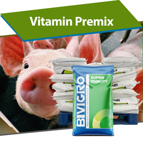 Multivitamin Blend - Feed Grade Fattening Pig Sow Nutrition Supplement