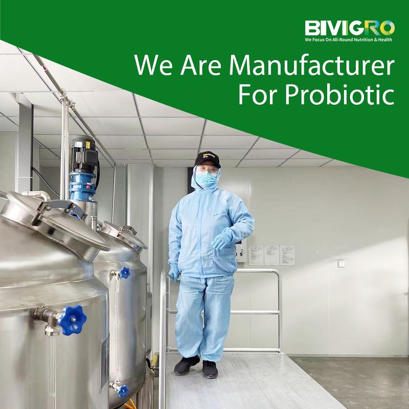 Bacillus Licheniformis Probiotic - Feed Grade Poultry Pig Cattle Fish Shrimp