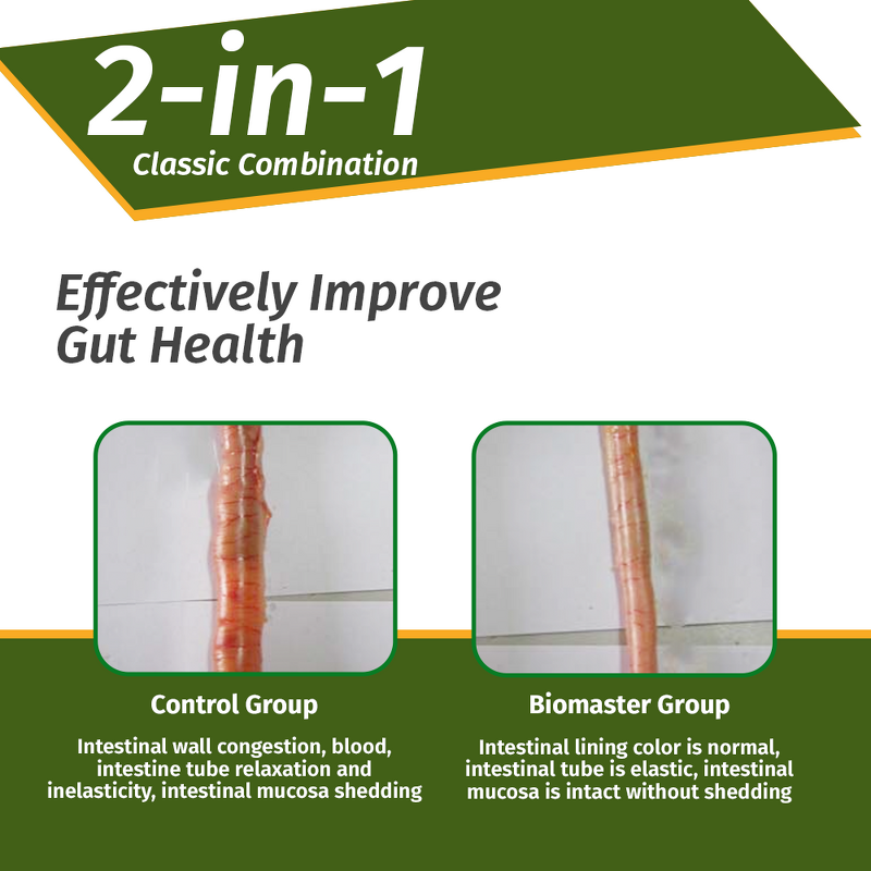 Bacillus Subtilis Probiotic - Water Soluble Poultry Egg Improvement Broiler Growth