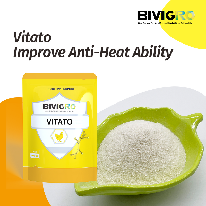 Vitato Poultry Supplement - Taurine Vitamin C Anti Heat Stress for Chicken