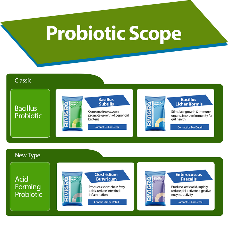 Bacillus Subtilis Probiotic - Feed Grade Poultry Pig Cattle Fish Shrimp