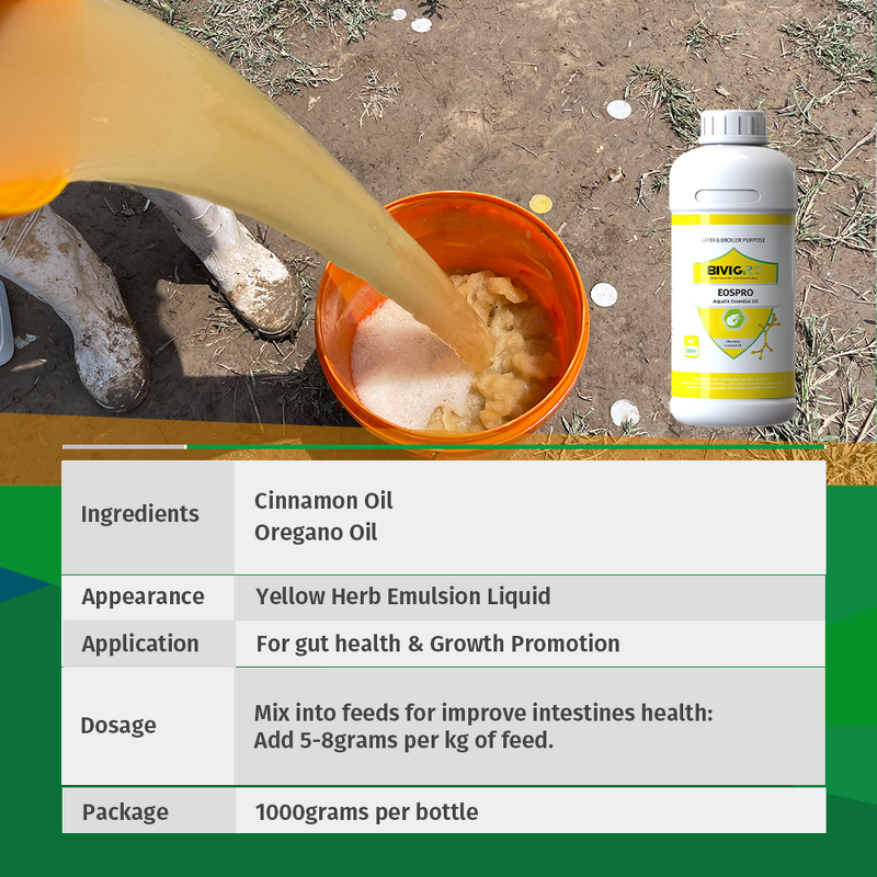 Cinnamon Oregano Oil Extract - Aquatic Fish Crab Shrimp Growth Weight Gain Enteritis