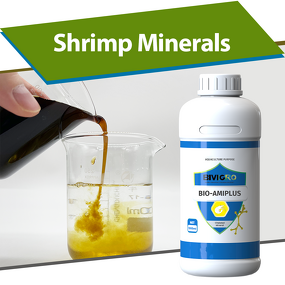 Amino Acid Chelated Minerals - Liquid Shrimp Organic Nutrition Growth Promotion