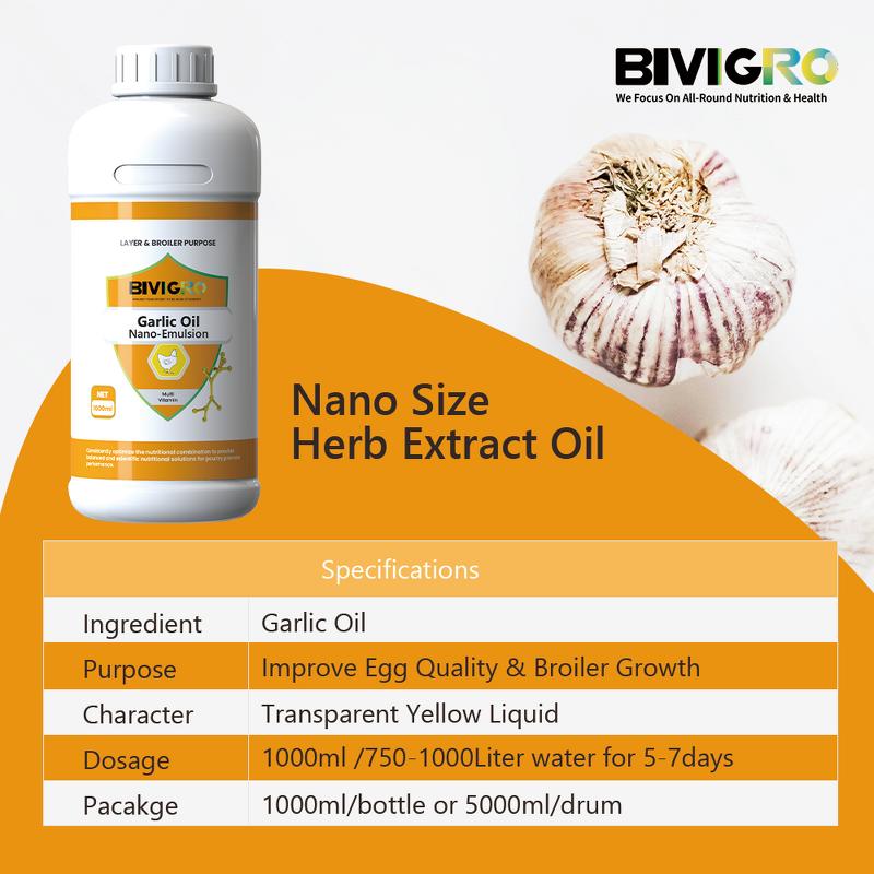 Garlic Oil Extract - Allicin Nano Emulsion Poultry Gut Health Antibacterial