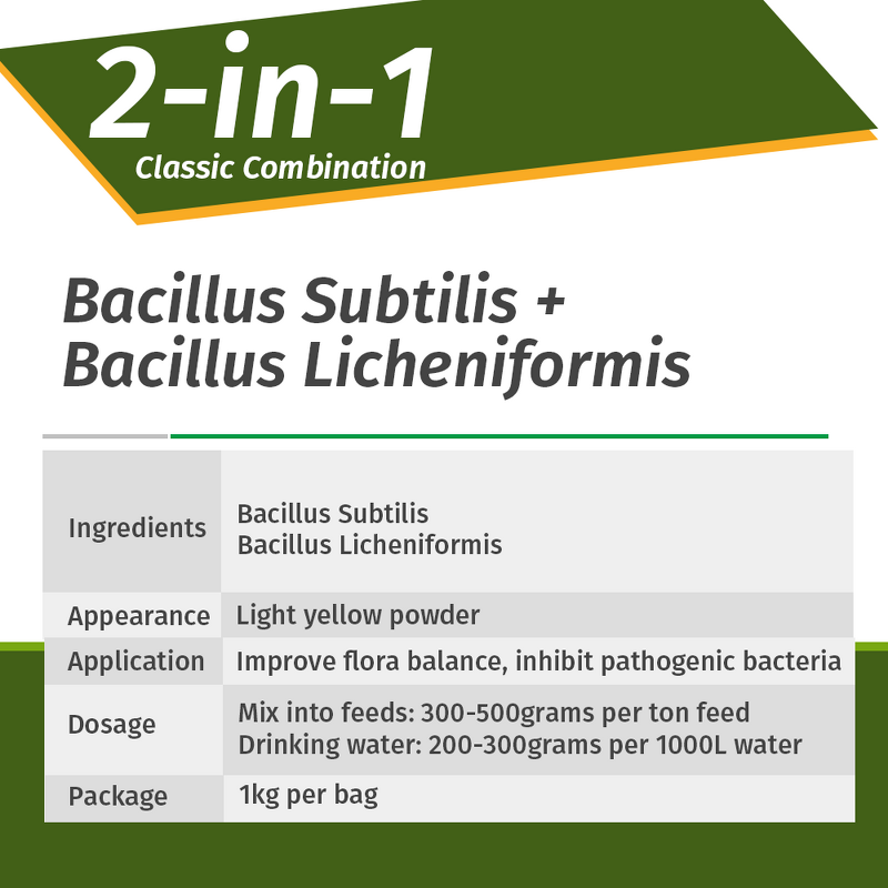 Bacillus Subtilis Probiotic - Water Soluble Poultry Egg Improvement Broiler Growth
