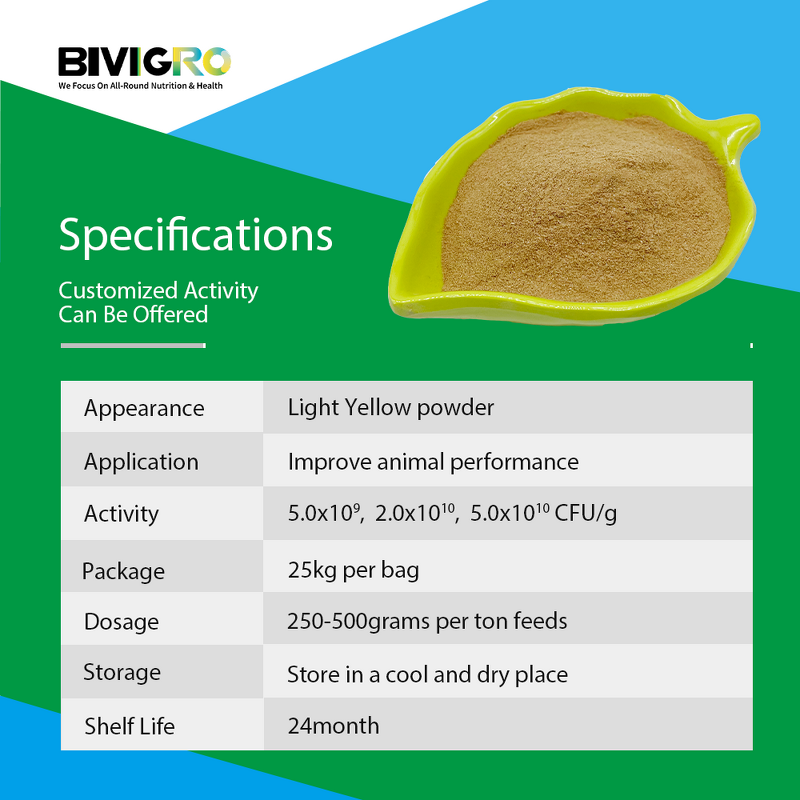 Bacillus Subtilis Probiotic - Feed Grade Poultry Pig Cattle Fish Shrimp