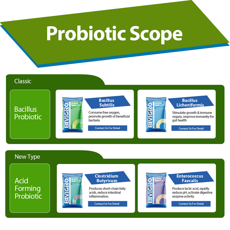 Clostridium Butyricum Probiotic - Feed Grade Poultry Pig Cattle Fish Shrimp Pet