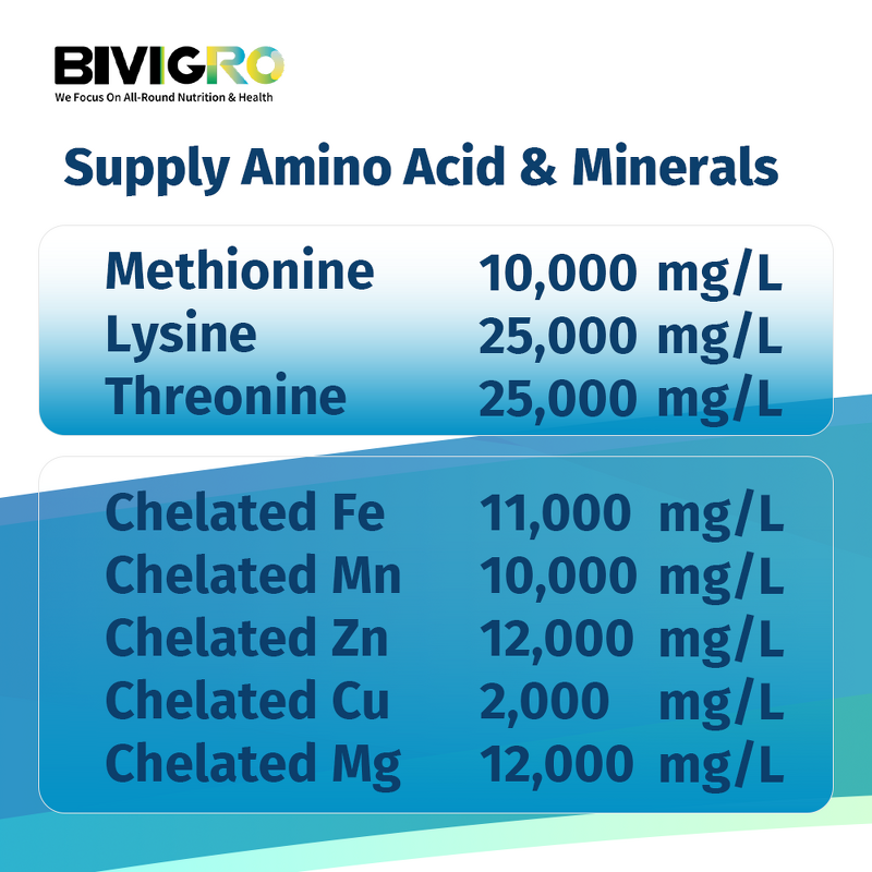 Amino Acid Chelated Minerals - Liquid Shrimp Organic Nutrition Growth Promotion
