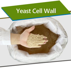 Yeast Cell Wall - Feed Grade 20% MOS 20% Glucan Animal Immunity Booster