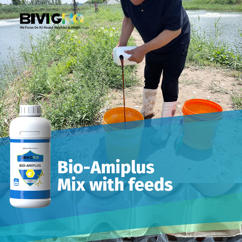 Amino Acid Chelated Minerals - Liquid Shrimp Organic Nutrition Growth Promotion