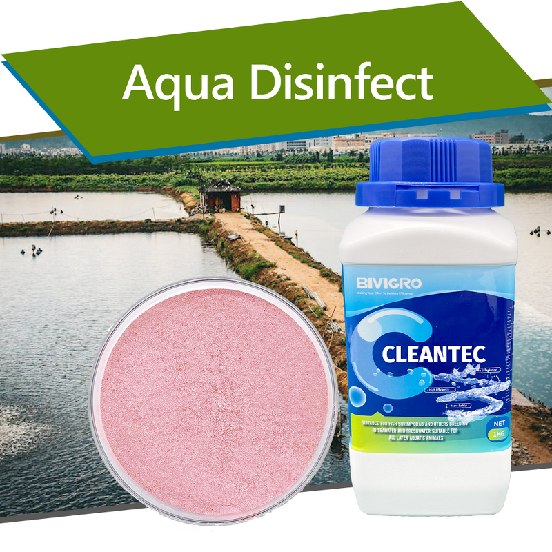 Potassium Peroxymonosulfate Disinfectant - Aquaculture Fish Shrimp Pond Water Purify