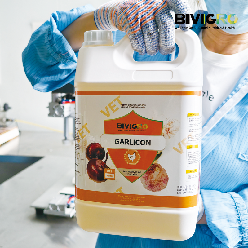 Garlic Oil Extract - Allicin Nano Emulsion Poultry Gut Health Antibacterial
