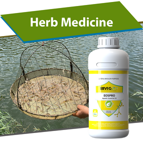 Cinnamon Oregano Oil Extract - Aquatic Fish Crab Shrimp Growth Weight Gain Enteritis