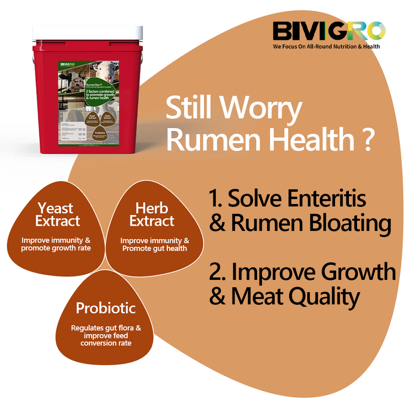 Rumenstar Regulator - Microencapsulated Herb Yeast Probiotic Cattle Sheep Growth