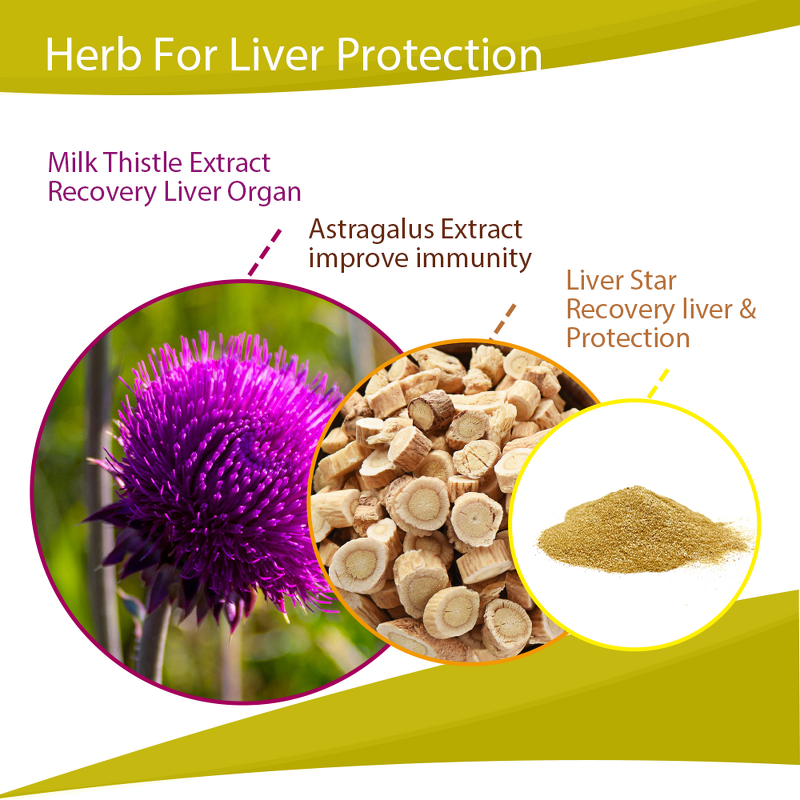 Liver Star Supplement - Milk Thistle Silybum Poultry Liver Protect Recovery
