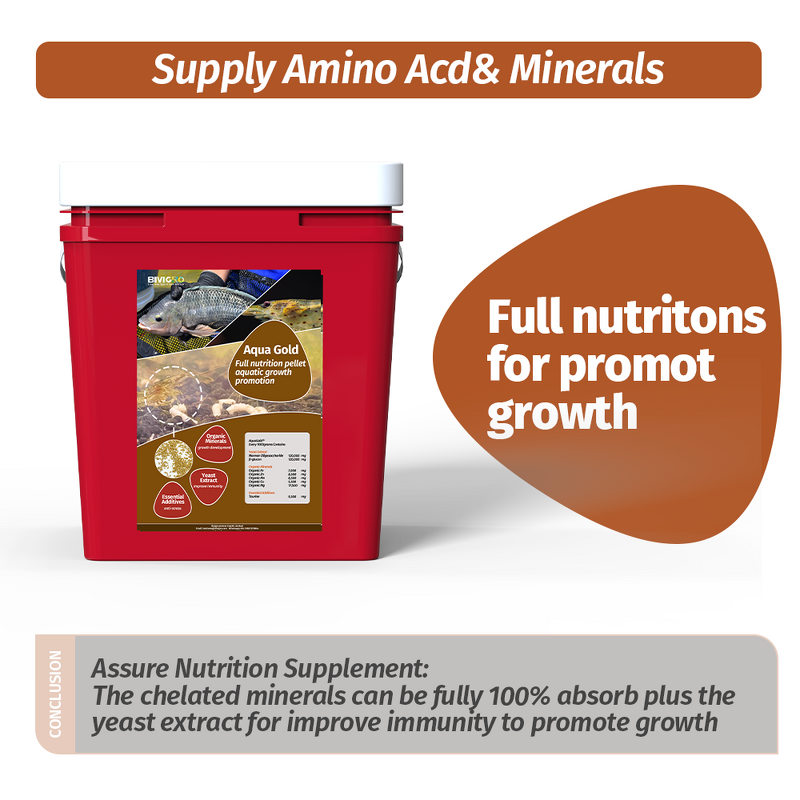 Amino Acid Chelated Minerals - Granular Shrimp Organic Nutrition Growth Promotion
