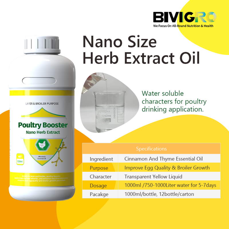 Cinnamon Thyme Oil Extract - Nano Emulsion Poultry Antibacterial Oral Liquid