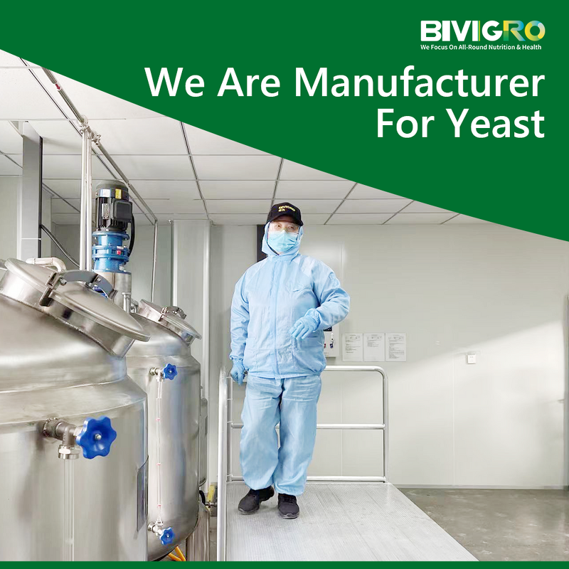 Brewers Yeast Powder - Feed Grade Single Cell Protein Poultry Pig Fish Shrimp