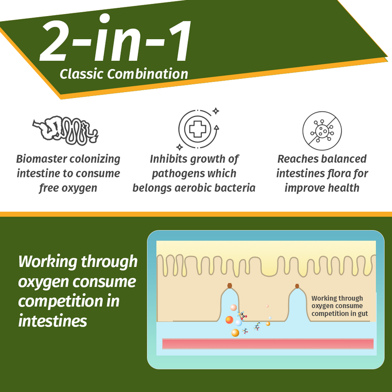 Bacillus Subtilis Probiotic - Water Soluble Poultry Egg Improvement Broiler Growth
