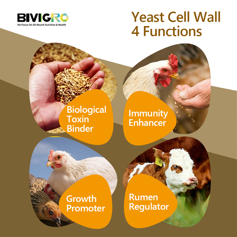 Yeast Cell Wall - Feed Grade 20% MOS 20% Glucan Animal Immunity Booster