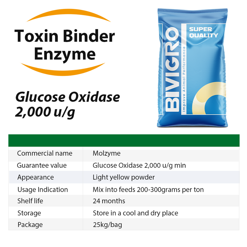 Glucose Oxidase Enzyme - Feed Grade Aflatoxin Degrading Mycotoxin Biodegradation