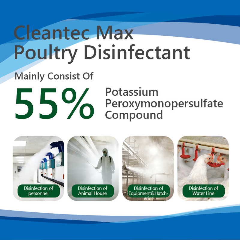 Potassium Peroxymonosulfate Disinfectant - Poultry Farm Chicken Coop Disinfection