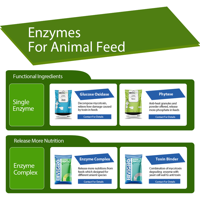 Phytase Feed Enzyme - Powder Granule Anti Heat Resistance Competitive Price