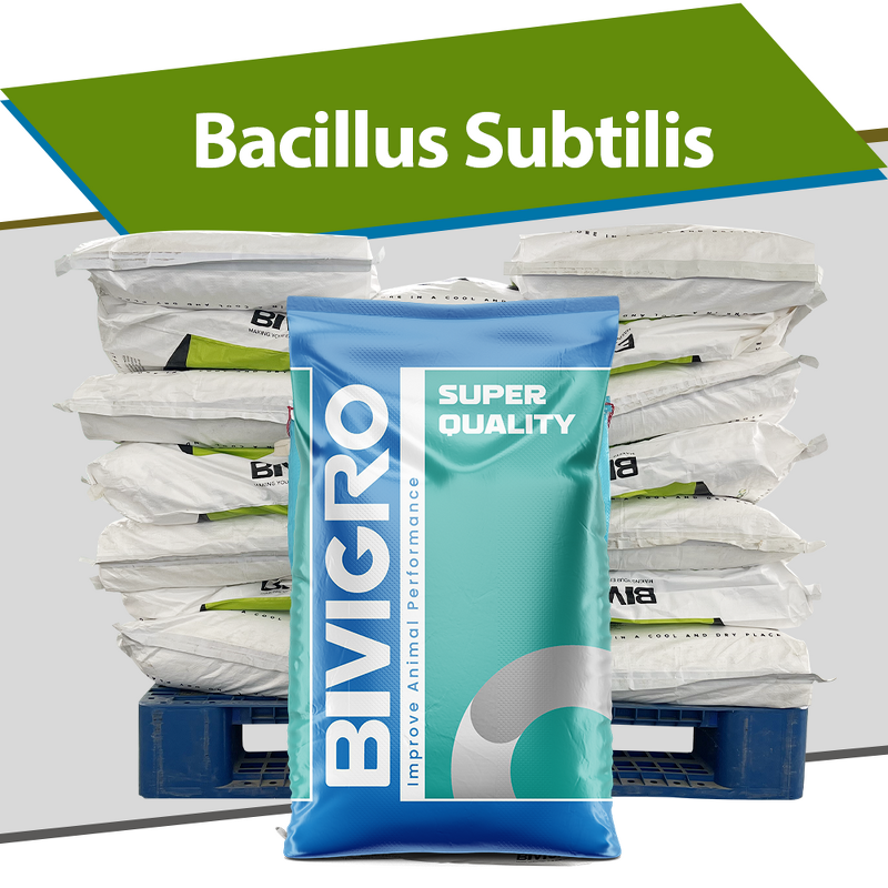 Bacillus Subtilis Probiotic - Feed Grade Poultry Pig Cattle Fish Shrimp